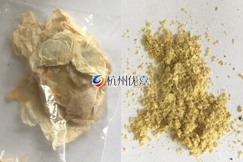 如何利用宋慈高通量多樣品組織研磨儀研磨植物組織？
