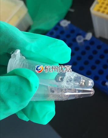 宋慈全自動(dòng)樣品研磨儀研磨動(dòng)物組織，提取RNA實(shí)驗(yàn)